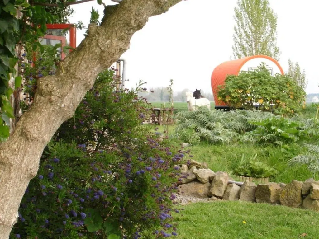 Mont-Dol La Moriere B&B